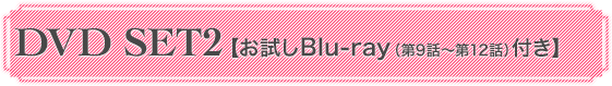 DVD SET2 【お試しBlu-ray（第9話〜第12話）付き】