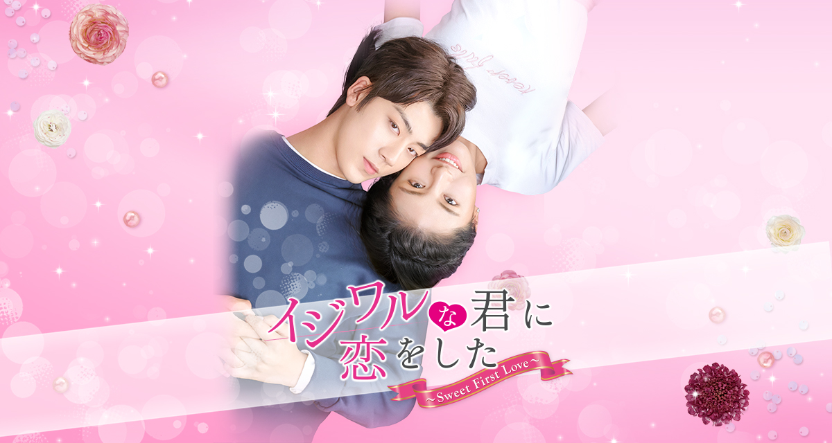 イジワルな君に恋をした~Sweet First Love~　DVD‐BOX1.2
