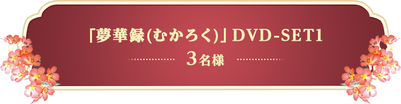 「夢華録(むかろく)」DVD-SET1 3名様