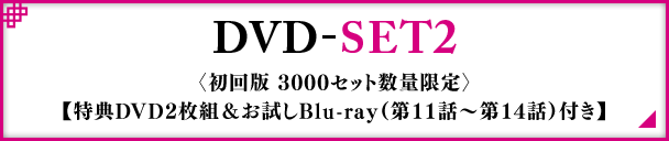 DVD-SET2〈初回版 3000セット数量限定〉【特典DVD2枚組＆お試しBlu-ray（第11話〜第14話）付き】