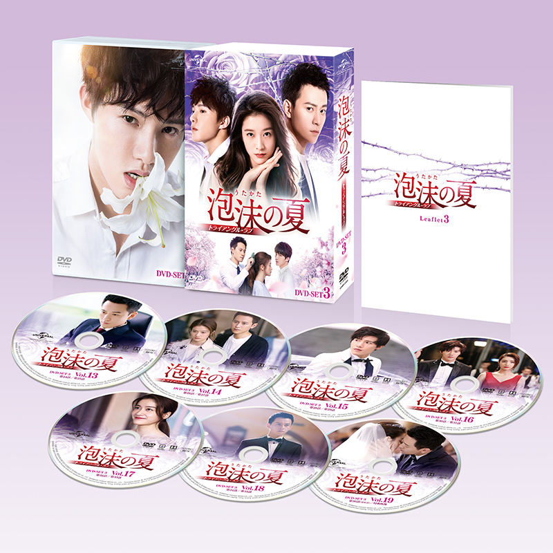 大幅値下げランキング 泡沫の夏 トライアングル ラブ 全19巻 DVD 中国
